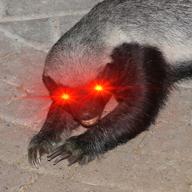 honeybadger